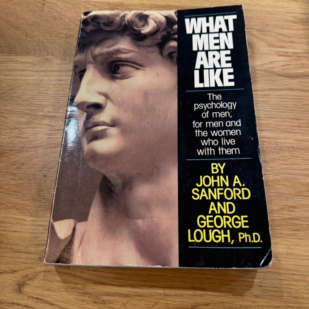 What Men Are Like John A Sanford George Lough Jungian Psychology 1988 Paperback